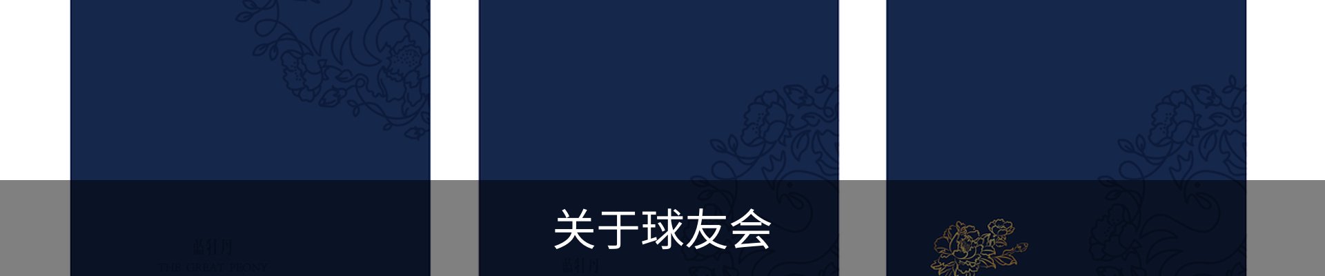 关于球友会
